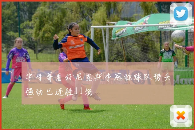 字母哥看好尼克斯夺冠称球队势头强劲已连胜11场